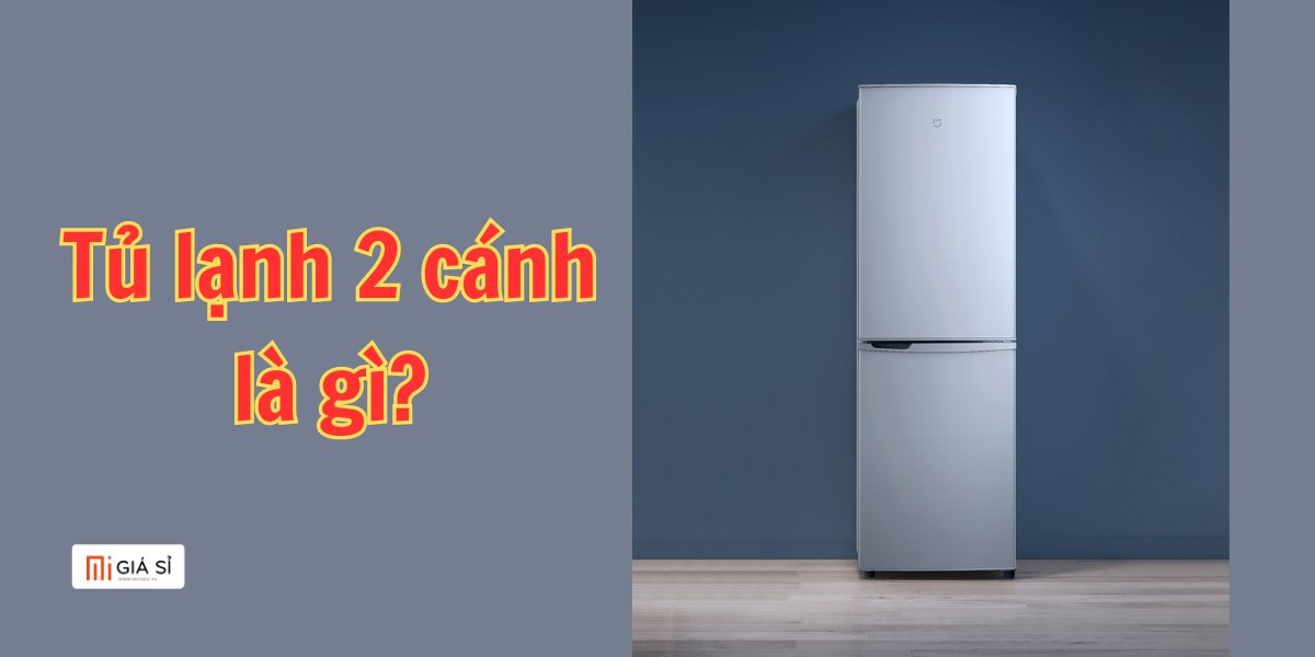 Tủ lạnh 2 cánh là gì?