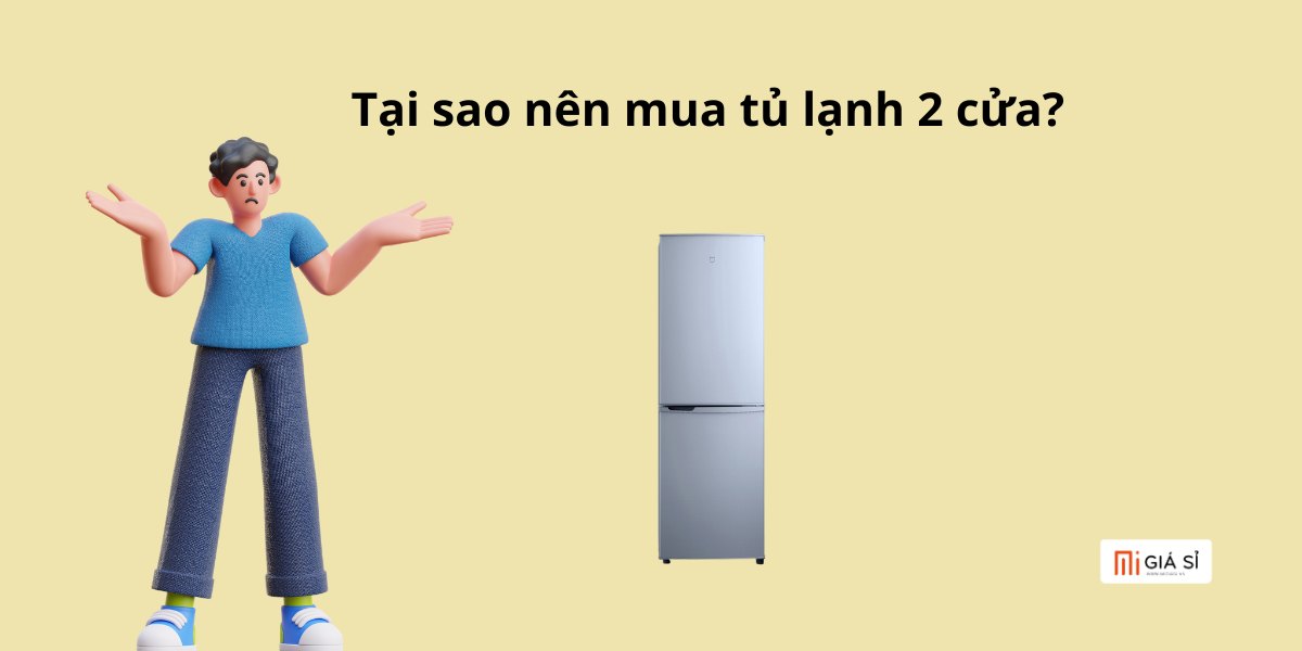 Tại sao nên mua tủ lạnh 2 cửa?